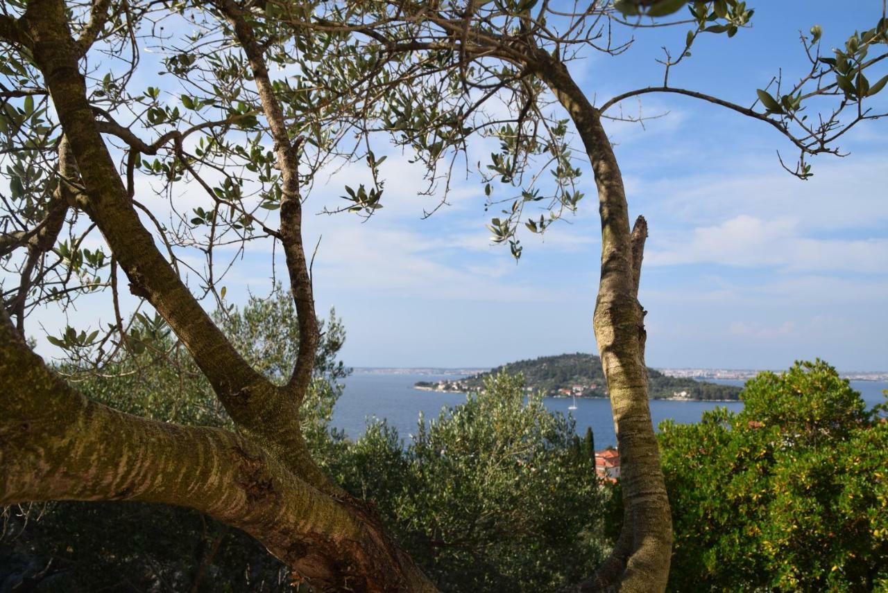 Apartment Halugica Kali Εξωτερικό φωτογραφία